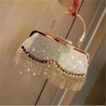Women Fashion Rhinestone And Sequins Decorative Evening Bag